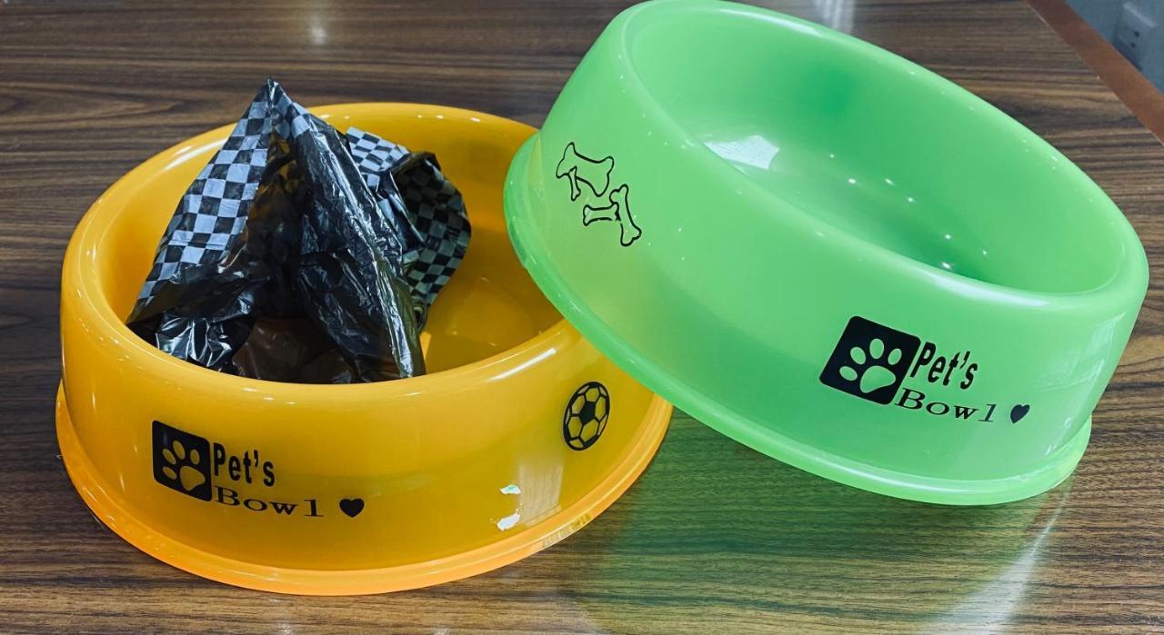 Suite - Pet Friendly,1113919146:JPEG